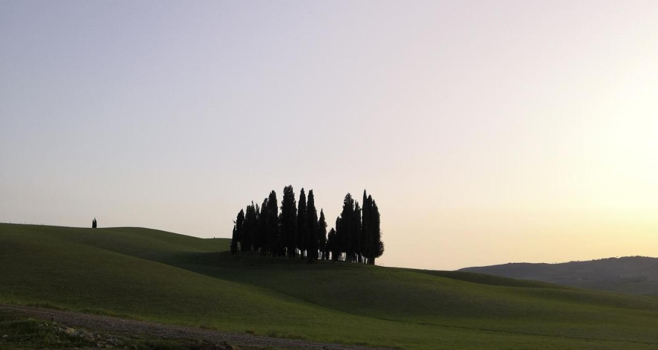 Albergo Giardino Montalcino Exterior photo